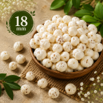 Premium Raw Makhana-6 SUTA-18mm